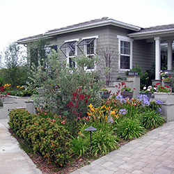 image of front yard
