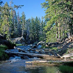 image of lake and trees