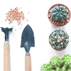 image of gardening tools