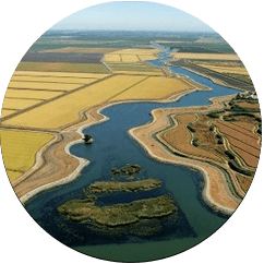 Picture of the Sacramento-San Joaquin River Delta