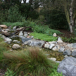 Shipley-Nature-Center-Demonstration-Garden