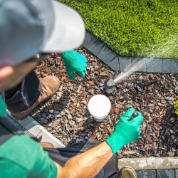 Contractor fixing sprinkler