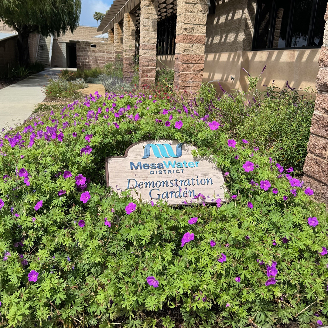 MesaWater Demonstration Garden